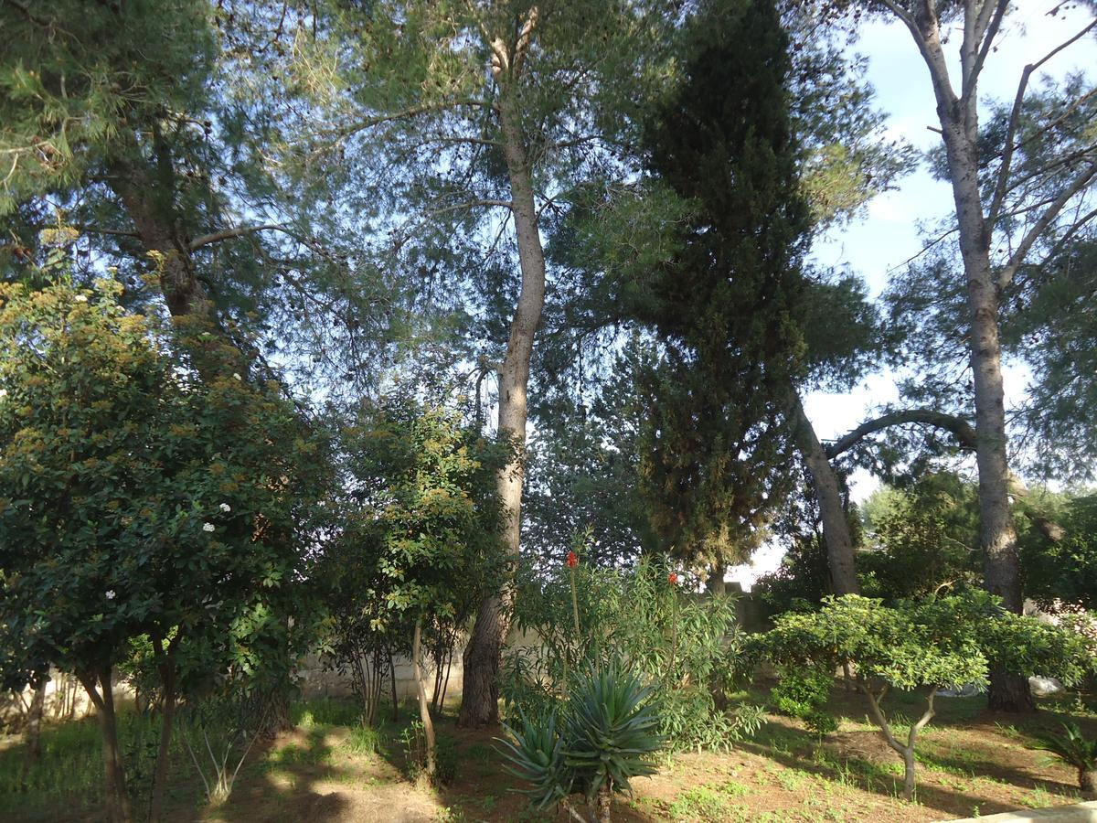 曼杜里亚Antico Casale Il Sambuco住宿加早餐旅馆 外观 照片